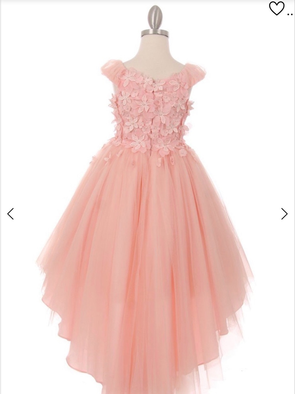 Cinderella Couture Formal Floral Appliqué Dress NWT Size 8